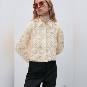 Zara Embroidered Lace Cropped Blouse